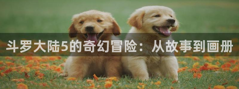 香蕉漫画免费阅读